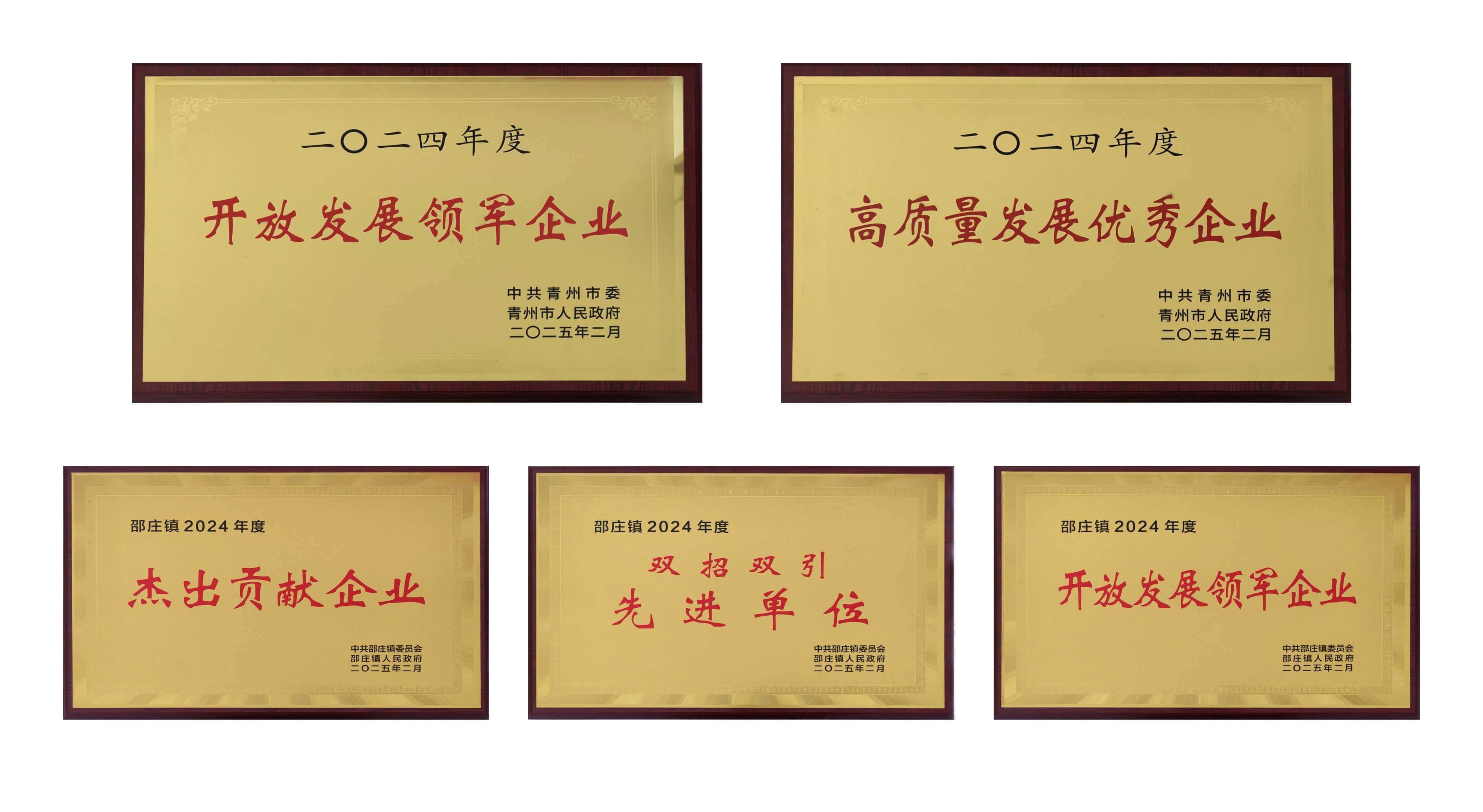 山东365速发国际医疗荣获多项殊荣