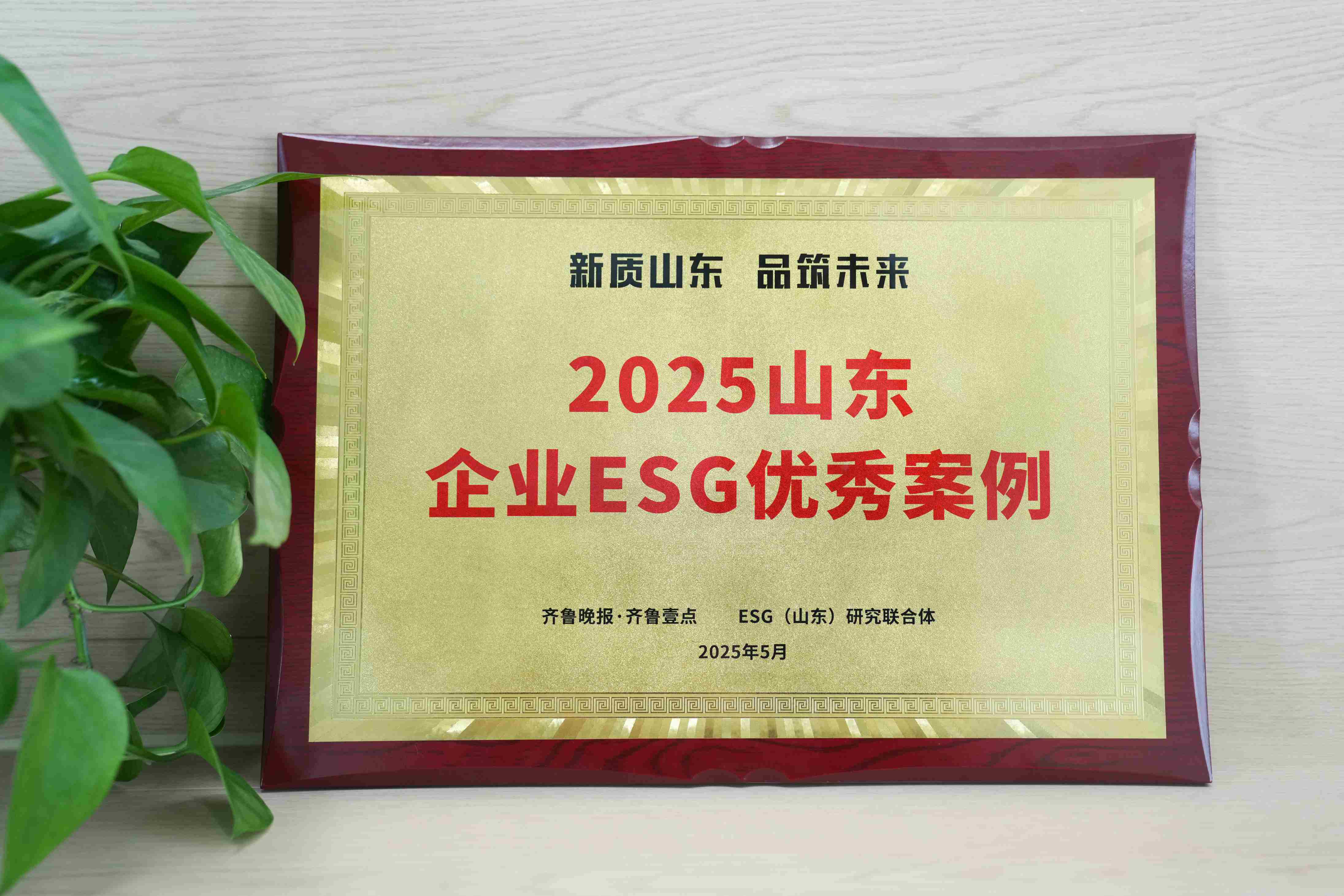 365速发国际医疗入选2025山东企业ESG优秀案例